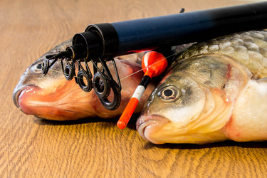 Similar image 11302928