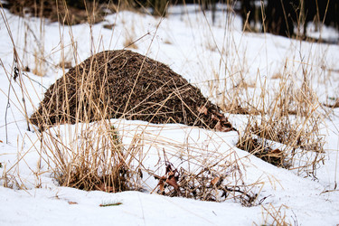 Similar image 11302246