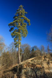 Similar image 11302248