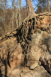 Similar image 11302250