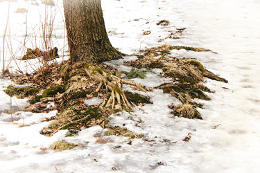 Similar image 11302258