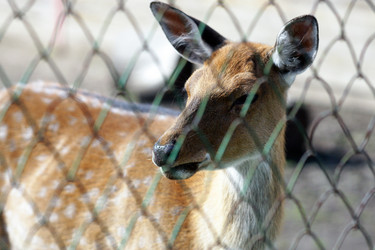 Similar image 11286568