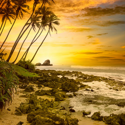 Similar image 11302695