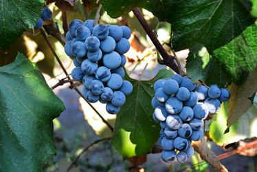 Similar image 11303043