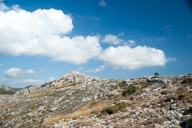 Similar image 11390895