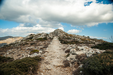 Similar image 11391119