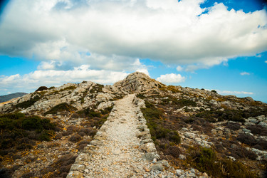 Similar image 11391148