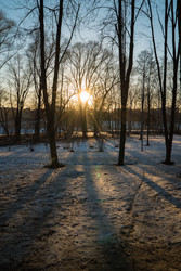 Similar image 11391150