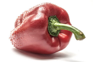 Similar image 11391372