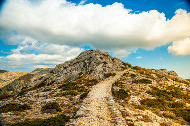 Similar image 11391412