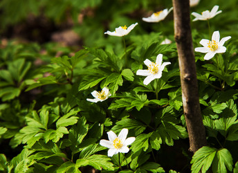 Similar image 11303153