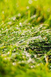 Similar image 11311475