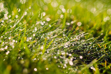 Similar image 11311480