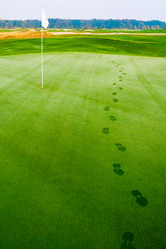 Similar image 11311086