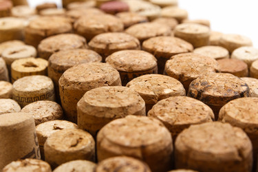 Similar image 11311567