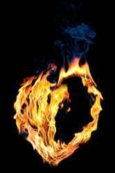 Similar image 11311610