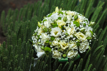 Similar image 11311818