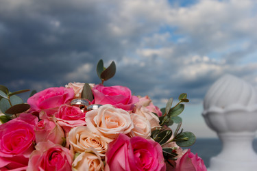 Similar image 11311828