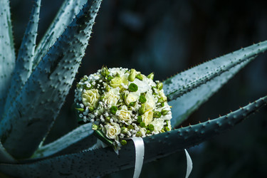 Similar image 11312894