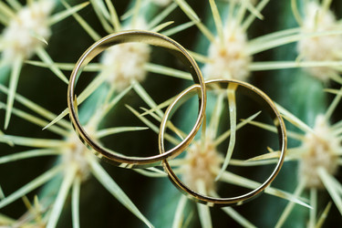 Similar image 11313203