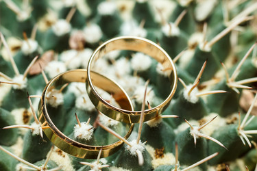 Similar image 11311189