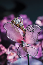 Similar image 11311204