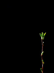 Similar image 11302033