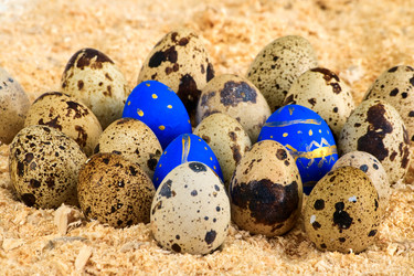 Similar image 11312870