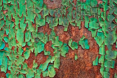 Similar image 11312949