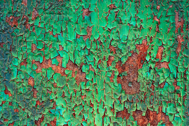 Similar image 11312953