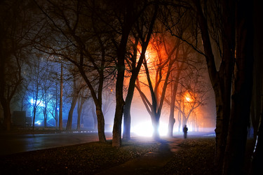 Similar image 11312965