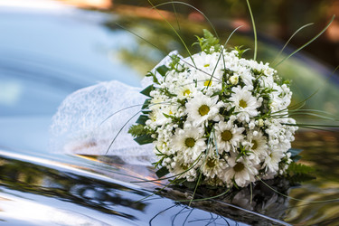 Similar image 11312229