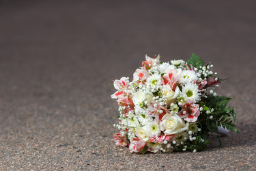 Similar image 11312235