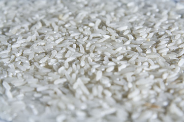 Similar image 11312237