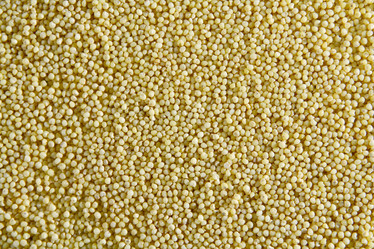 Similar image 11312239