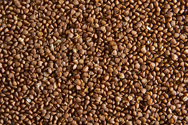 Similar image 11312245