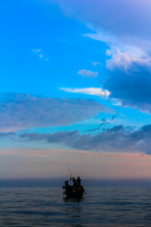 Similar image 11313299