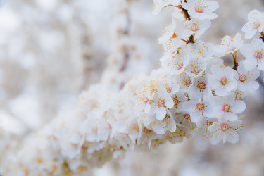 Similar image 11316619