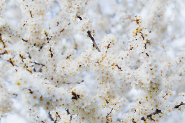 Similar image 11316670