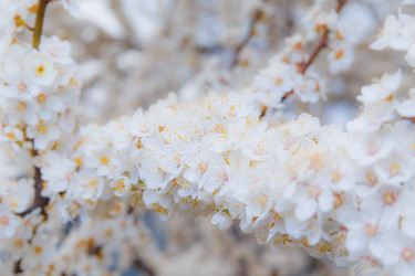 Similar image 11316673