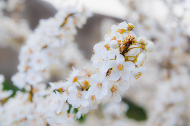 Similar image 11316677