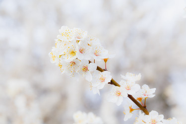 Similar image 11316681