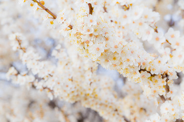 Similar image 11316684