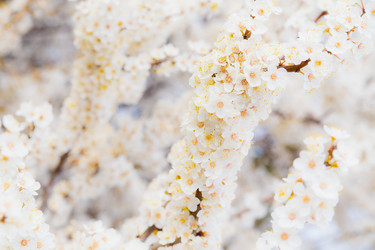 Similar image 11316686