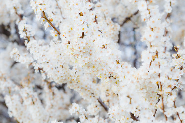 Similar image 11316689