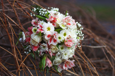 Similar image 11316696