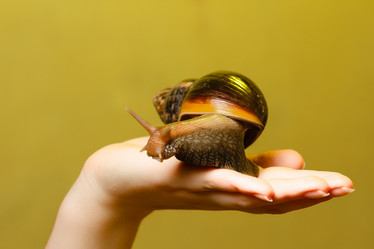 Similar image 11316964