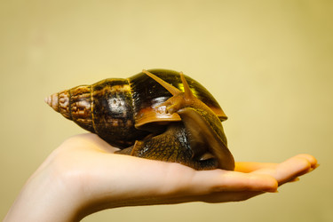 Similar image 11316994