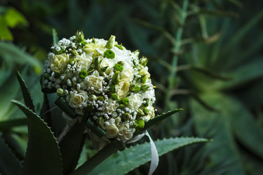 Similar image 11315956