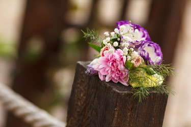 Similar image 11315961